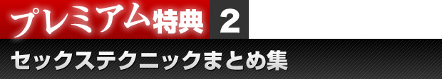プレミアム特典２　セックステクニックまとめ集