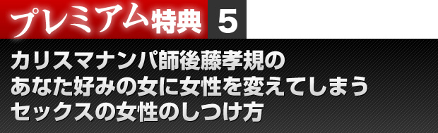 プレミアム特典５　カリスマナンパ師後藤孝規のあなた好みの女に 女性を変えてしまうセックスの女性のしつけ方